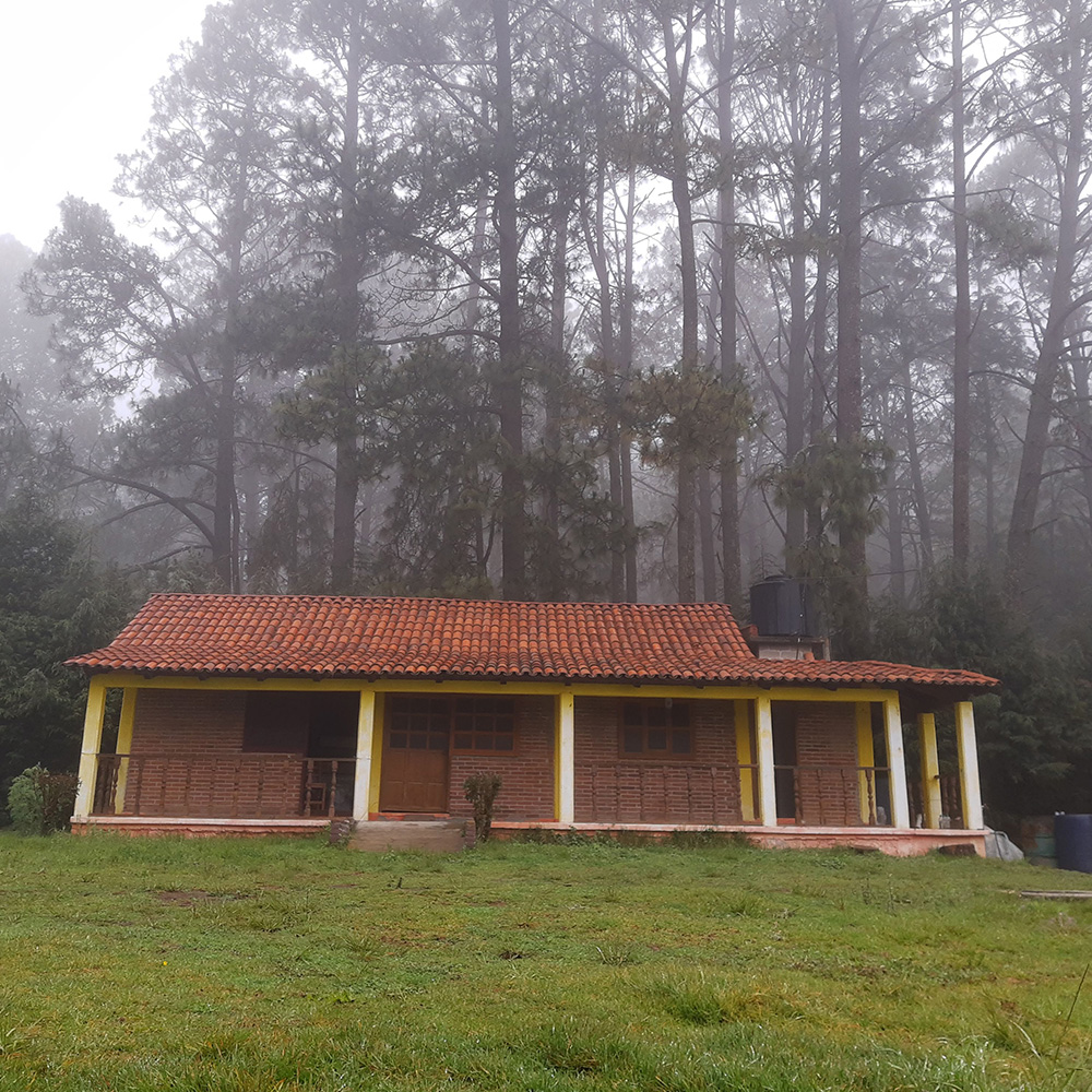 Cabaña rústica en el bosque