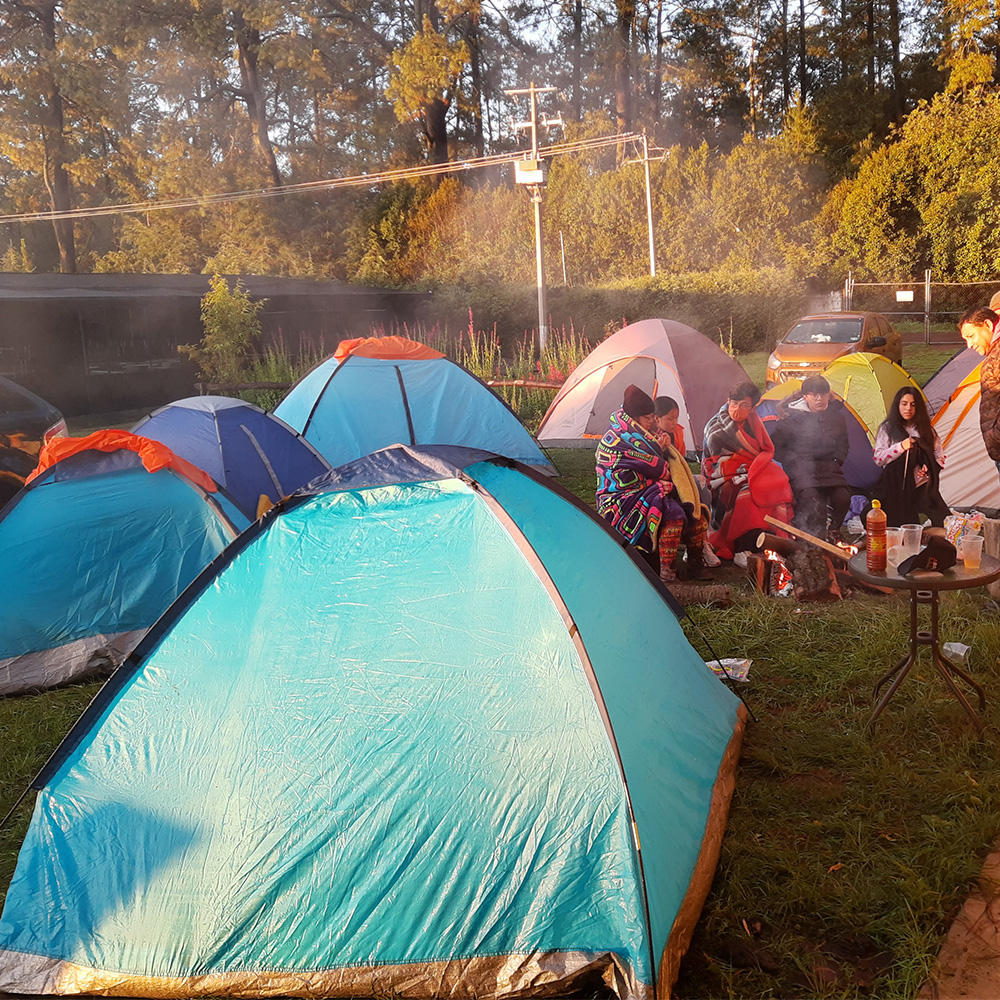 Camping en zona segura del bosque